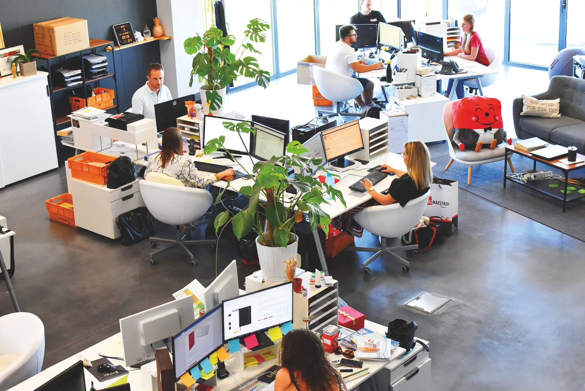 Kegiatan WILLOWSENSE 3